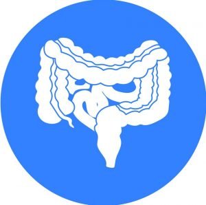 gastrointestinal icon 2