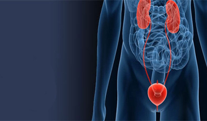 nephrology